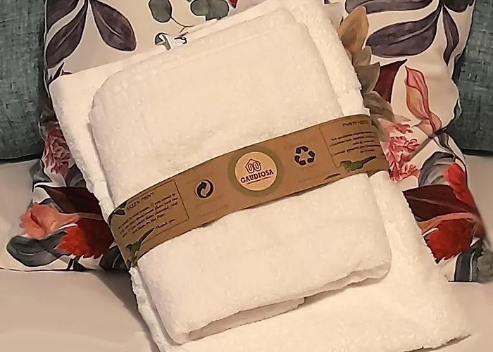 Amplio, Centro, Zona Begona Y Al Lado De La Playa Хіхон